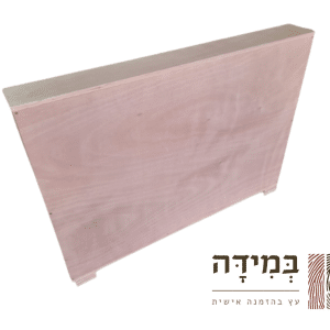 ארגז שילוח בינלאומי